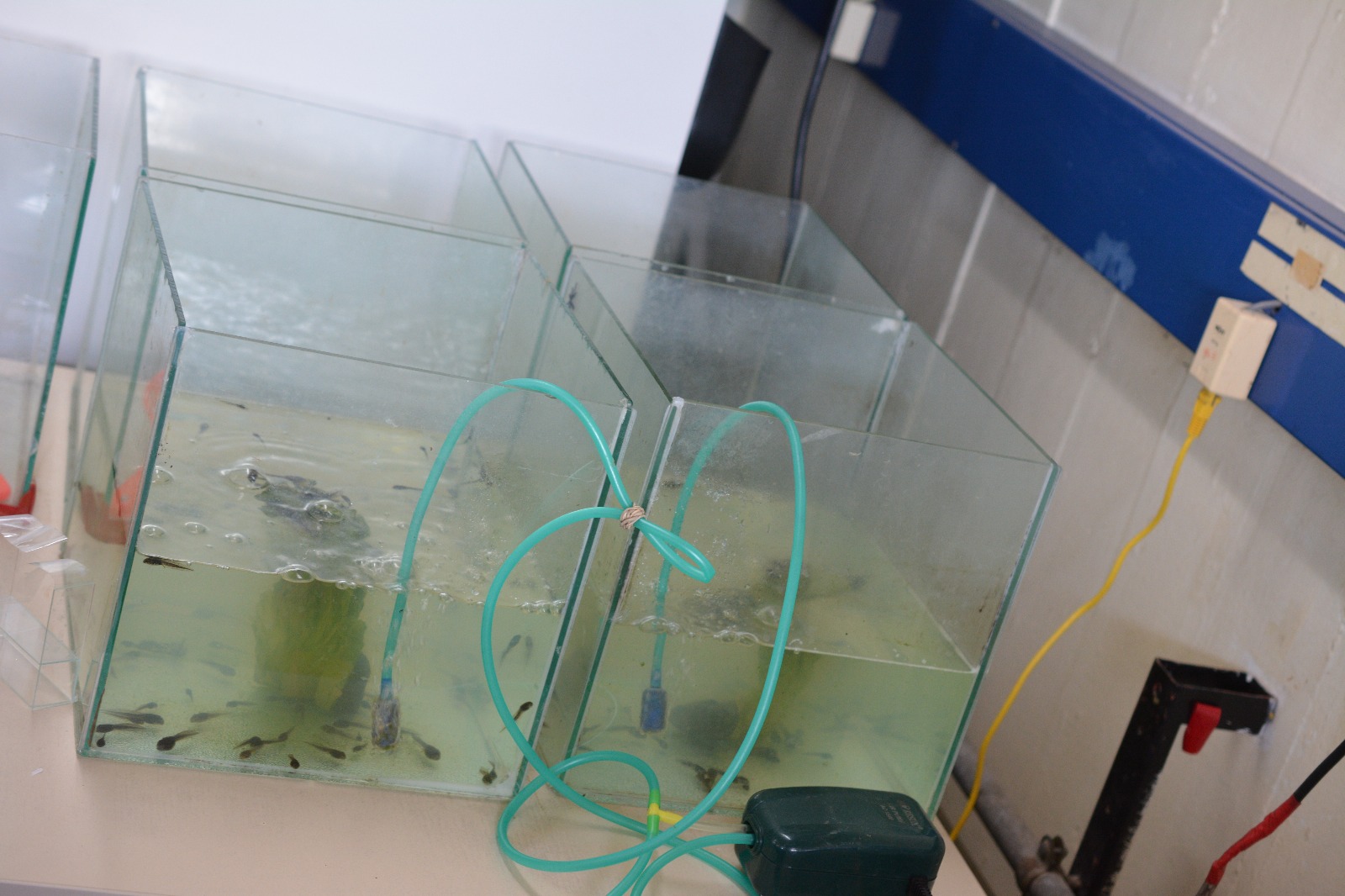 PHOTO-2025-11-25-14-41-32 2