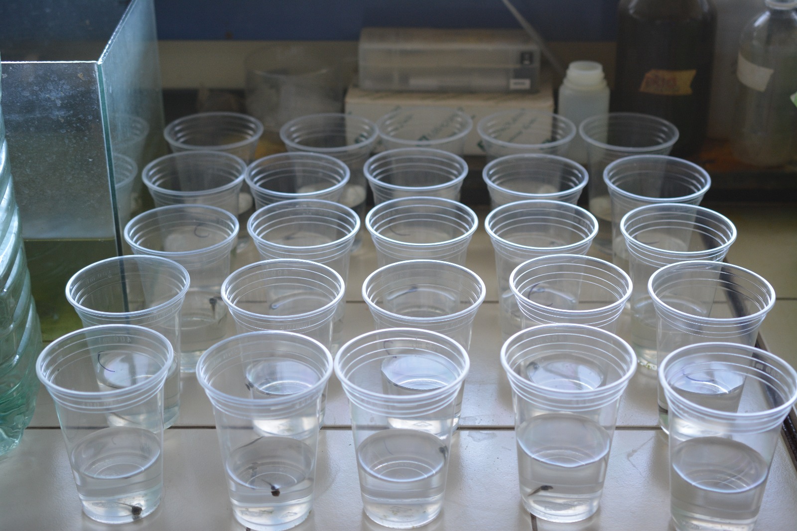 PHOTO-2025-11-25-14-42-33